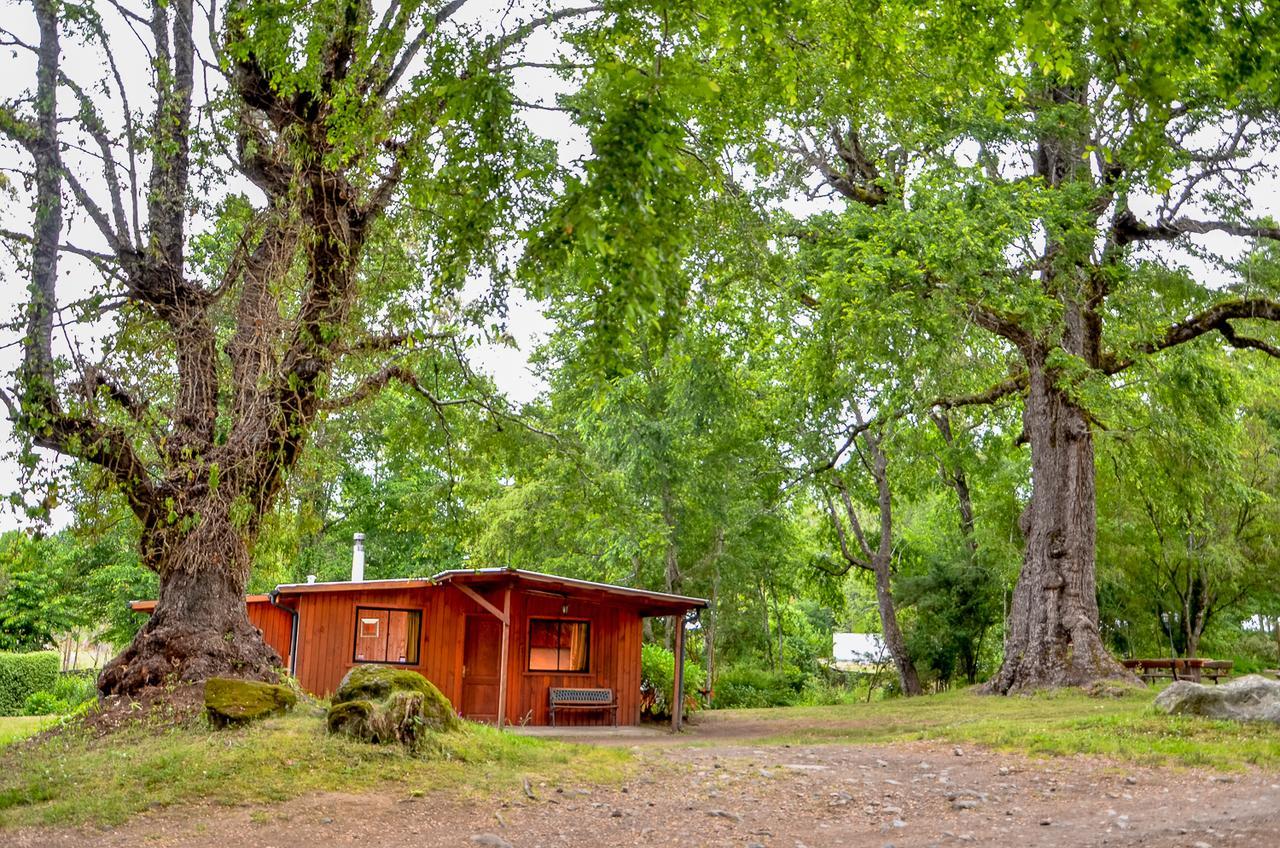 Cabanas Aylen Hotel Pucón Værelse billede